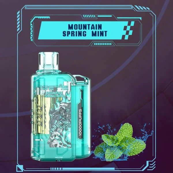 IGET FLARE B10000 – Mountain Spring Mint - Vape Shop Goa