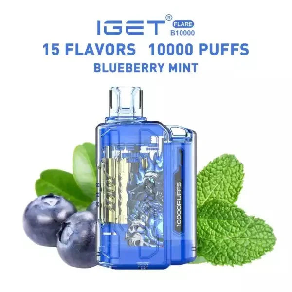 IGET FLARE B10000 – Blueberry Mint - Vape Shop Goa